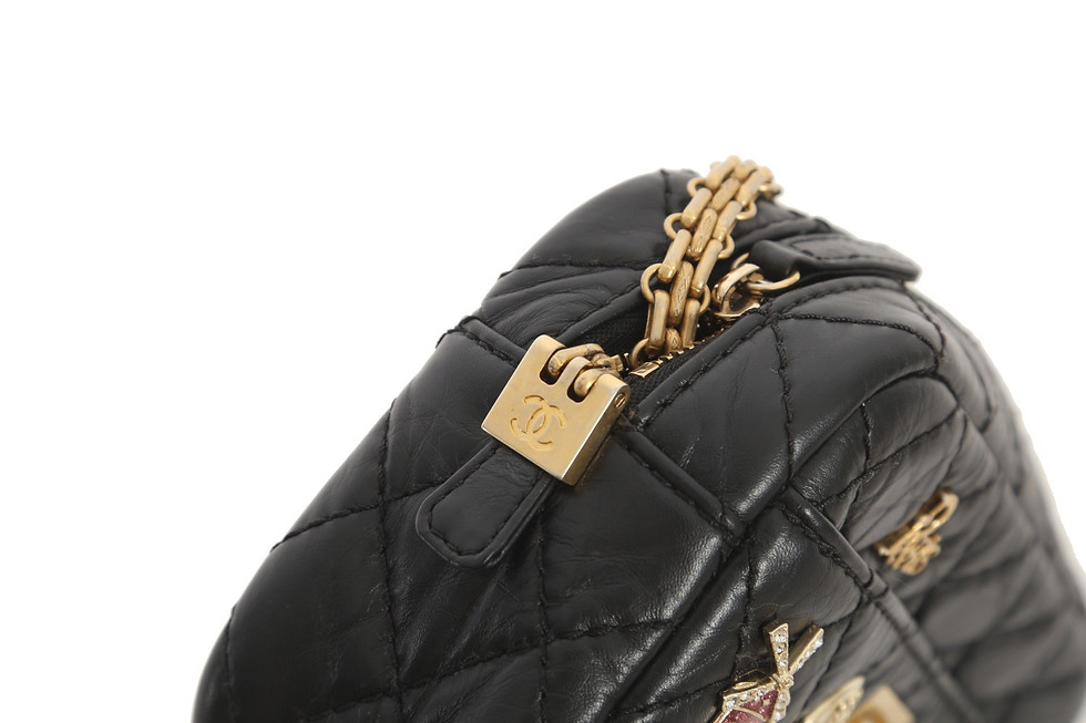 Thumbnail: CHANEL Lucky Charms Camera Bag 