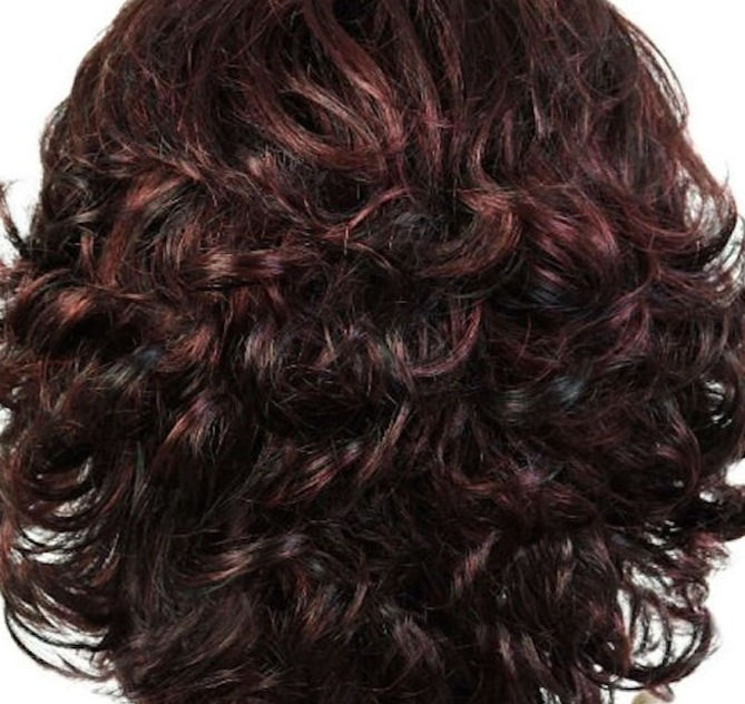 الصورة المصغرة: Close-up of curly, dark burgundy hair, showing texture and highlights.
