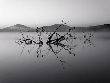 Beyond the Fog
