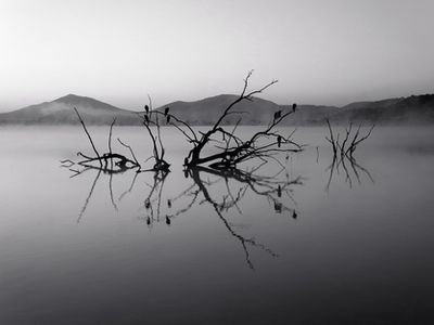 Beyond the Fog