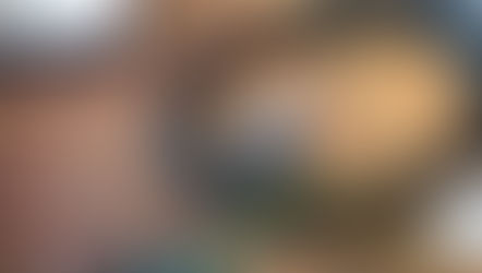 A Wild Goose Chase - Week 1