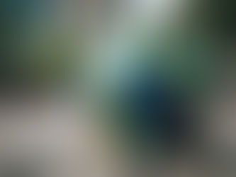 How much does it cost to Live in Florianópolis in 2026