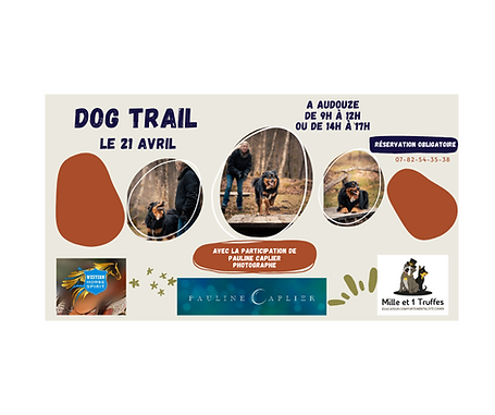 Dog Trail(5).png
