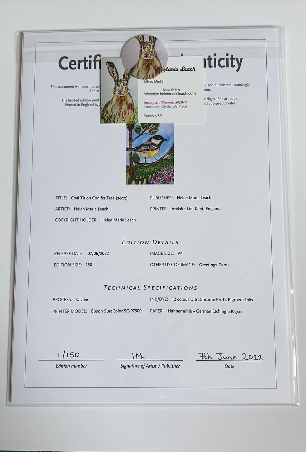 Thumbnail: Coal Tit on Conifer, A4 Giclee Print