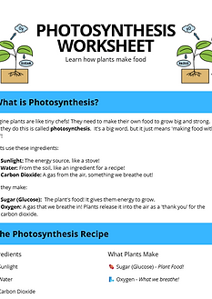 Green Modern Marketing Logo (14).png