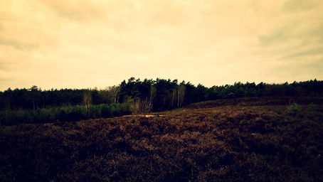 That kind of day.....