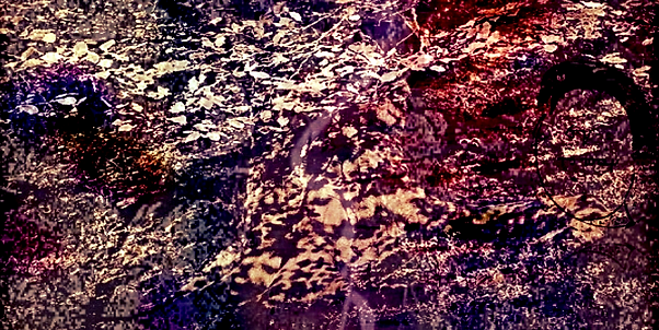 An abstract mix of esoteric images, symbols and light