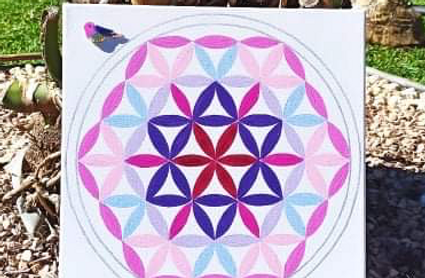 IMG_1508_edited.png