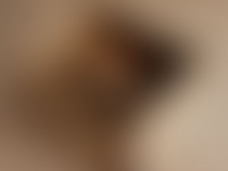 Cum să-ți muți pisica într-o casă nouă fără stres: Ghid complet pentru o tranziție ușoară.