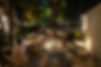 3N1A2314 copy.jpg
