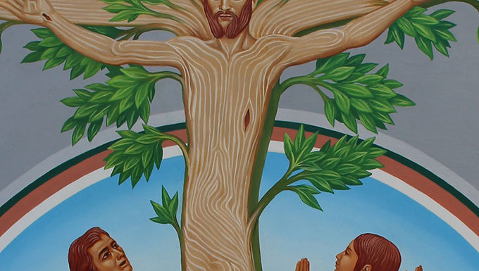 Tree of Life, Tree of Death