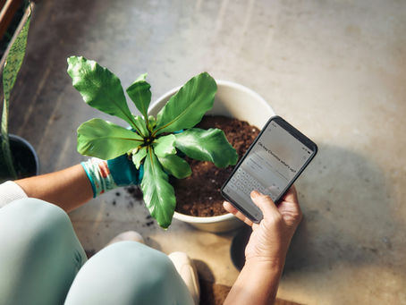 Are You Growing or Being Distracted?