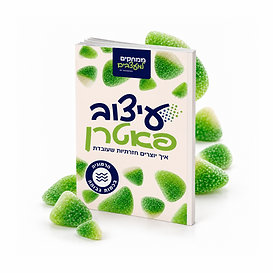 עיצוב פאטרן - הדמיה של המדריך.png