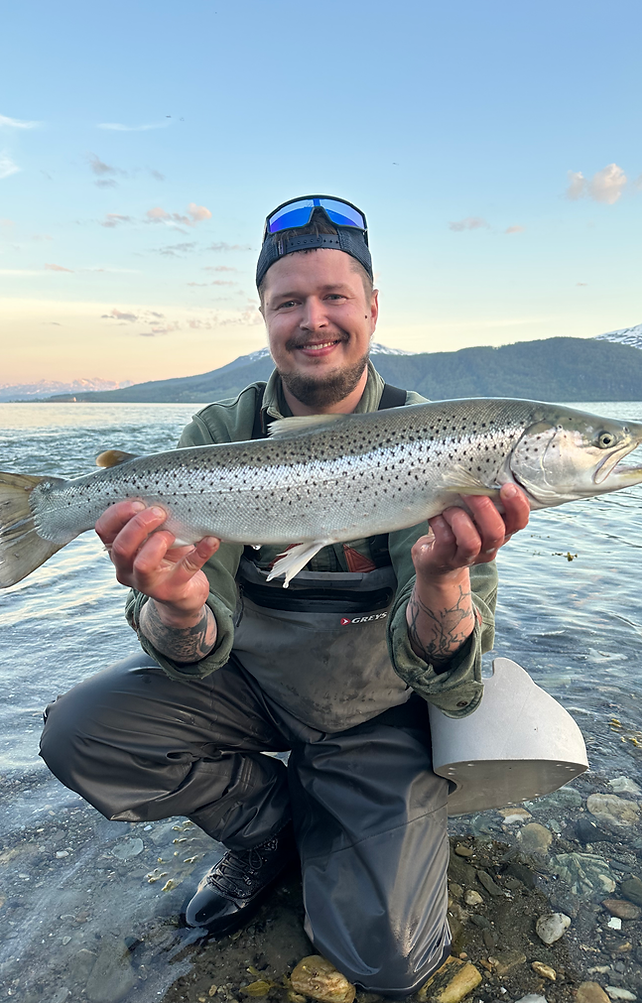 Huge sea trout