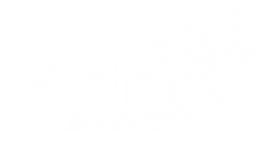 Wht_4x.png