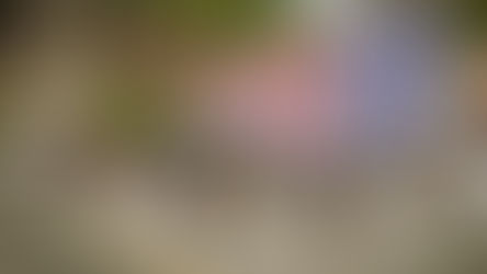 Communiqué - May 11