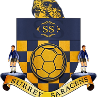 Surrey Saracens copy.png