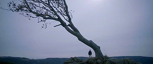 RoundAboutWay - Nymphomaniac