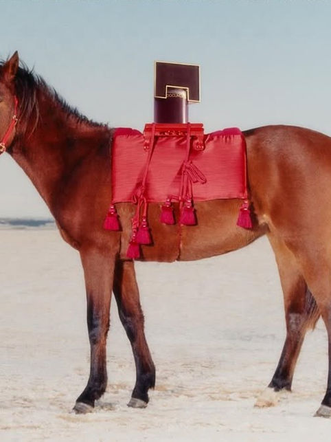 Fotografia de um cavalo marrom parado em uma paisagem vasta e clara sob um céu azul. O animal veste um arreio e uma manta decorativa vermelha com franjas. No topo da sela, está posicionado um frasco de perfume retangular em tom bordeaux com tampa dourada da marca Documents Perfume.