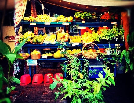 The Locavore Store booth, with lush proudce and plants in outdoor market.