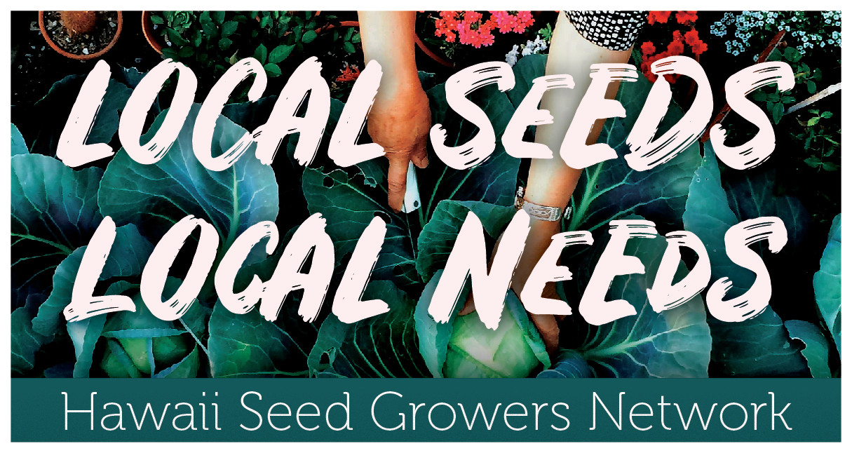 Hawaii Seed Growers Network Growing Locally Adapted Seed For Hawaii