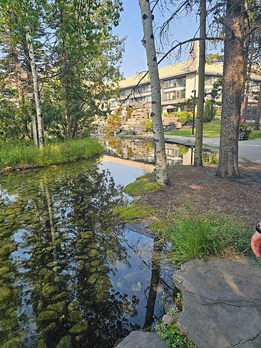 therapistretreatalberta