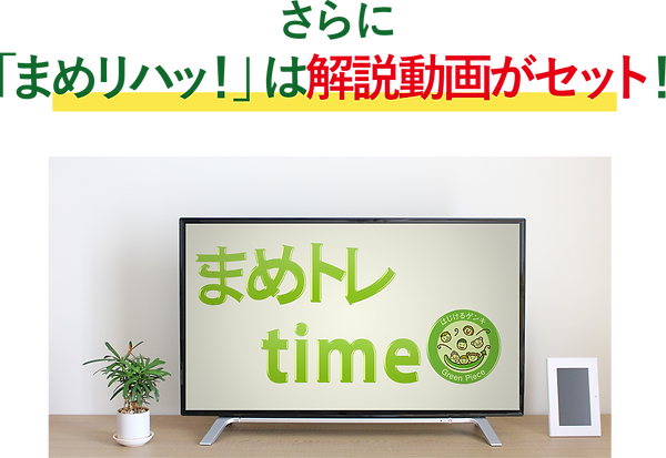 動画がセット.png