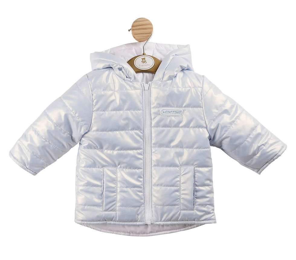 Mintini Baby reversible jacket