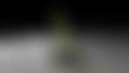 three pairs of shoes are displayed on a green and black stand