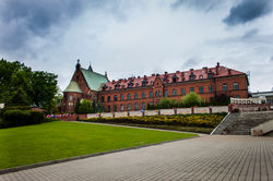 IMG_7461