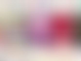 5 književnih noviteta koji će obilježiti 2026. godinu: Od zabranjenih romansi do dirljivih životnih ispovijesti