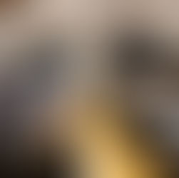 Održana sjednica Županijske skupštine: razvojni projekti i zaštita prirodnih resursa u središtu županijske rasprave