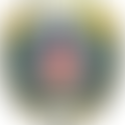 Osumnjičen za kazneno djelo dovođenje u opasnost života i imovine općeopasnom radnjom ili sredstvom