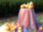 Pumpkins.jpg