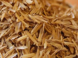 rice_hulls.jpeg