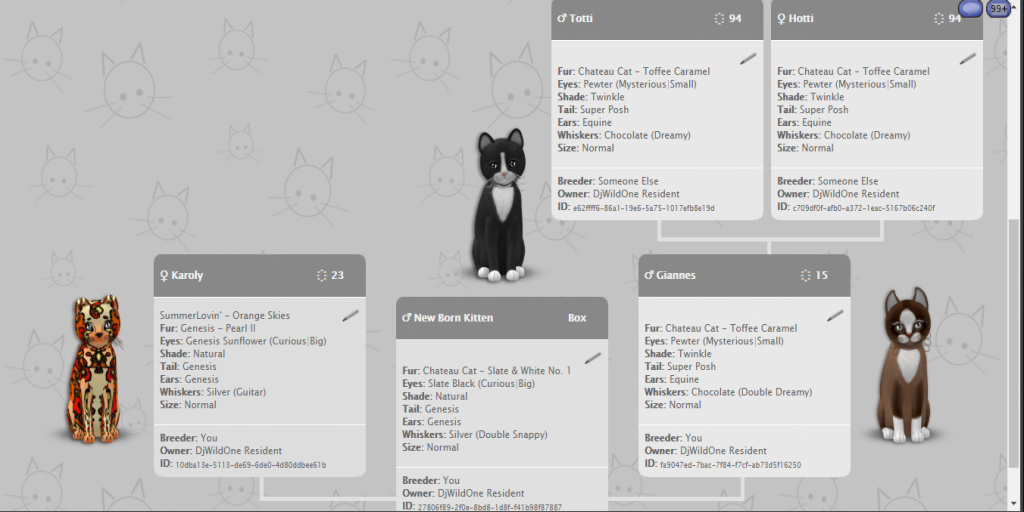 [Image: Slate%20Black%20Pedi.png]