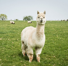 AdobeStock_264186199.jpg