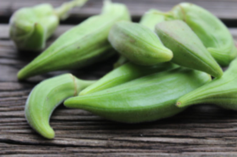 Witches Fingers