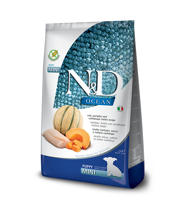 N&D Cod, Pumpkin and Cantaloupe Melon Puppy Mini 2,5 KG