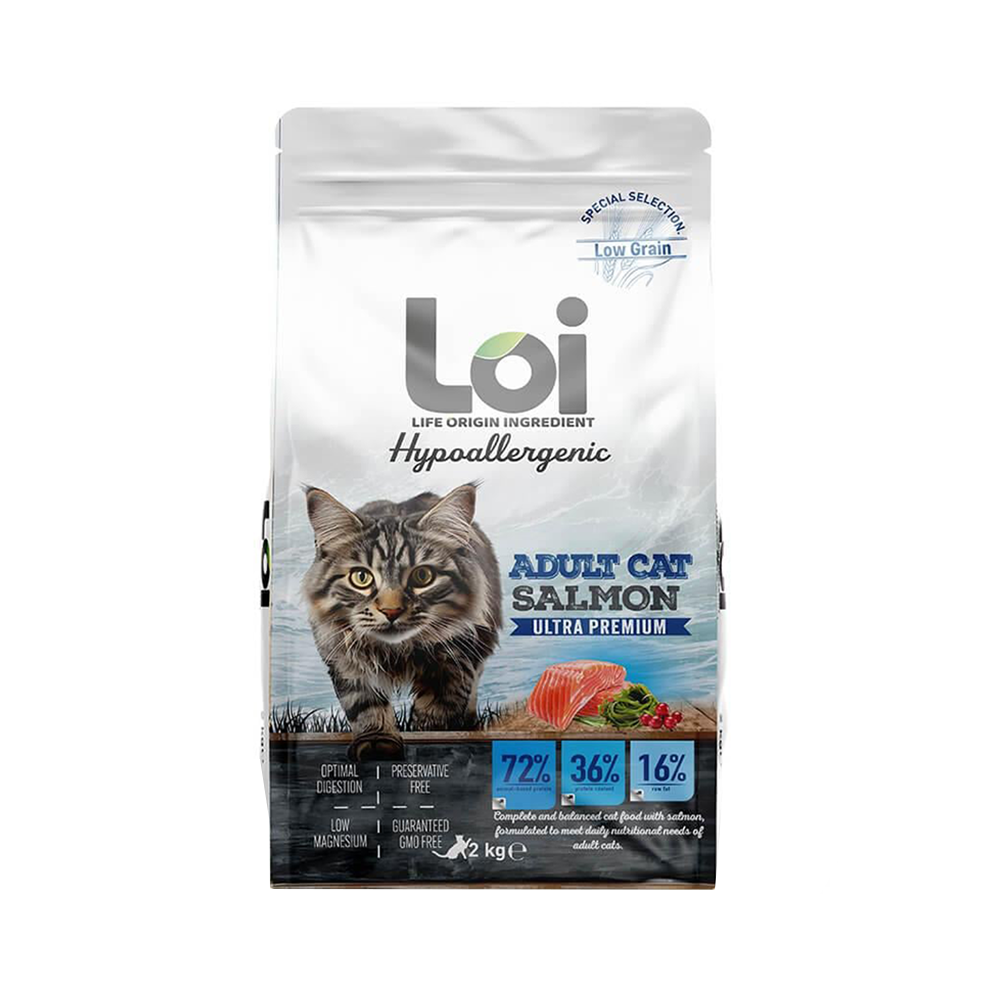 LOİ YETİŞKİN KEDİ - SOMONLU - 2 KG