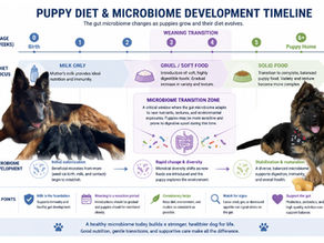 A healthy microbiome
