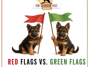 RED FLAGS -vs- GREEN GLAGS