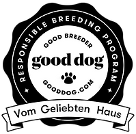 Purebred German Shepherd Dogs. Imported German lines, high breeding standards Black and red puppies, solid black puppies, standard short stock and long coat stock Family raised healthy puppies with vet check, health guarantee & micro-chipped, Shipping available - ground delivery and air cargo from msp/st paul airport.