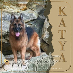 KATYA / Litter G