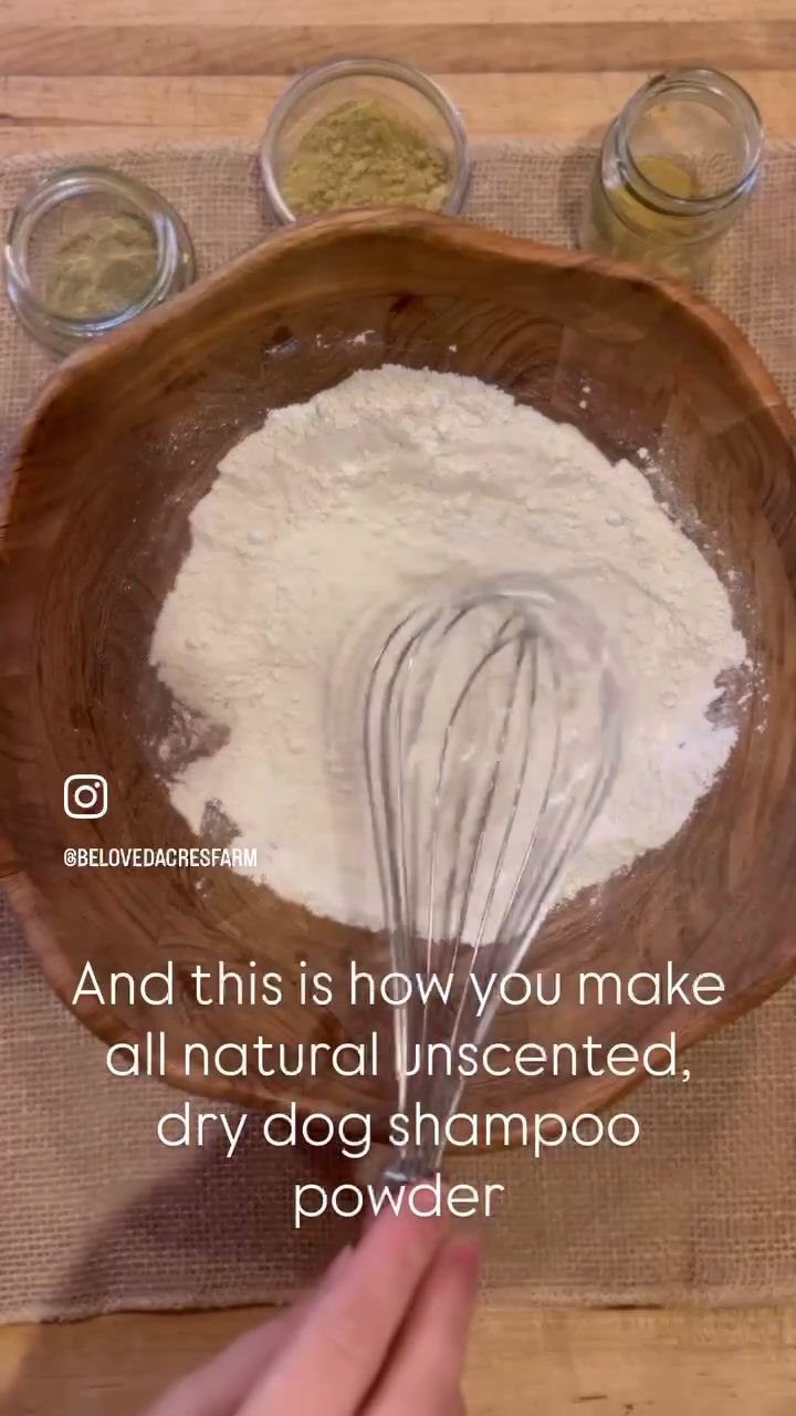 Thumbnail: DRY DOG SHAMPOO // Colloidal Oatmeal Dry Dog Shampoo