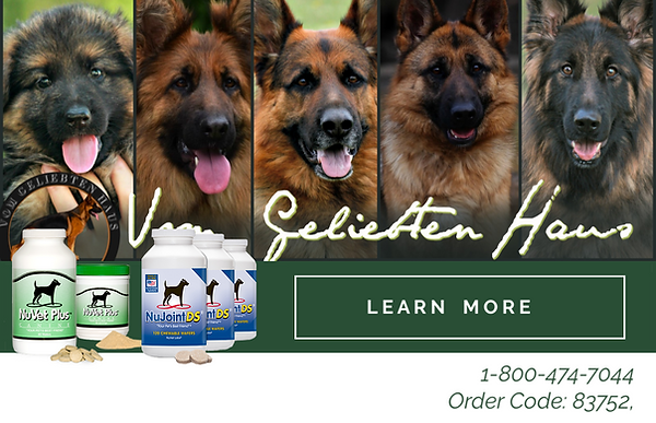 Let's Get Local Facebook (1).png