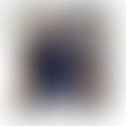 National Walk Your Dog Day: Why Quality Walks Matter More Than Quantity