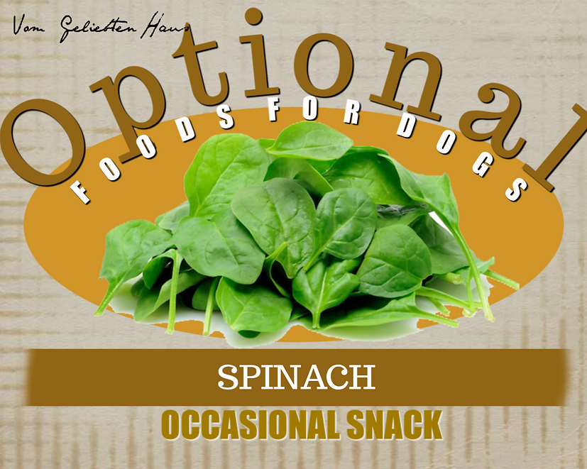 is spinach safe for dogs