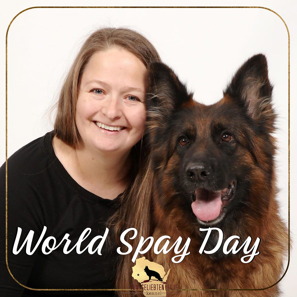 World Spay Day: Awareness, Education, and Responsible Ownership
