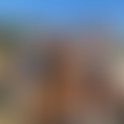 Socialization Isn’t “Meet Everyone” — It’s “Learn How to Live in the World”